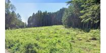 上伊那郡宮田村【山林土地】