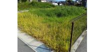 飯田市白山町２丁目【土地】